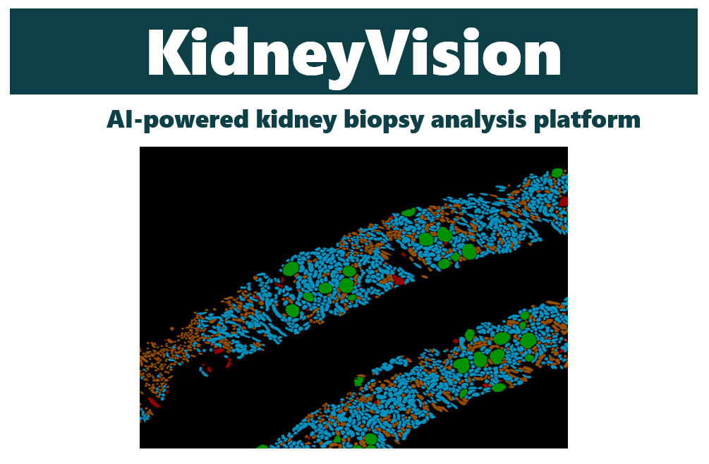 KidneyVision Banner